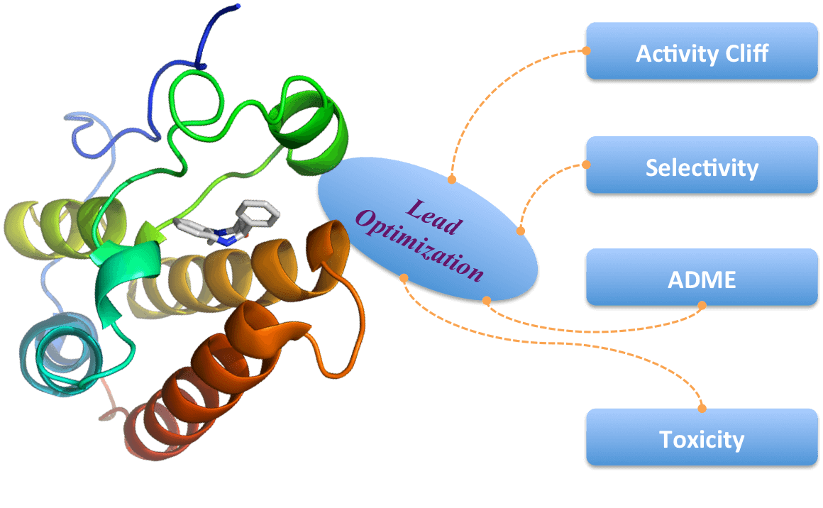 Lead Optimization