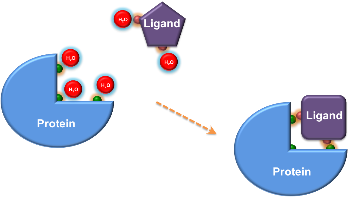 Scoring Function of LeScore